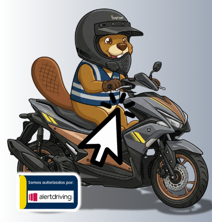 CURSO ONLINE PARA CONDUCTORES